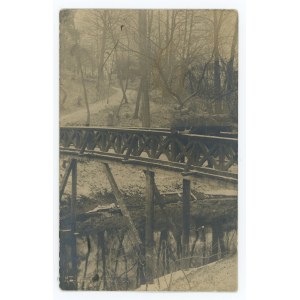 Druskininkai - bridge, 1920. (1186)