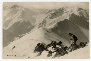 Hala Gąsienicowa, Tatra Mountains - View from Kasprowy (875)