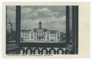 Plock / Schröttersburg - city hall, 1941. (1317b)