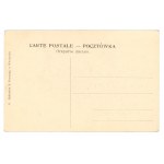 Ciechocinek - Główna aleja w parku ok. 1900 r. (1344)