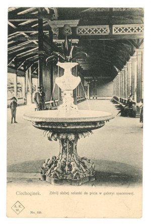 Ciechocinek - brine spa (1345)