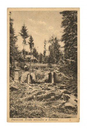 Piwniczna - Mineral springs in Lomnica (1874)
