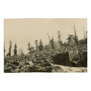 Goloborze Swietokrzyskie - View (1909)