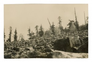 Goloborze Swietokrzyskie - View (1909)