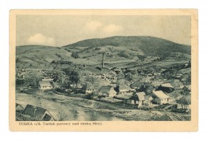 Turka - Steam sawmill on the Stryi River (2005)