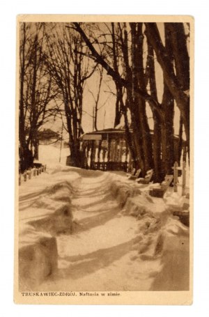 Truskavets-Zdroj - Naftusia in winter (2039)