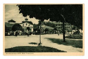 Truskavets-Zdroj - Social Club (2042)
