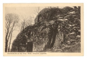 Rozhurche - Stryj-Skole Line. Pagan temple (2062)