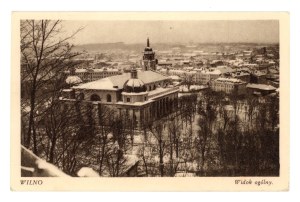 Vilnius - General view (2116)