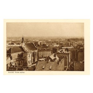 Kalisz - General view (2117)