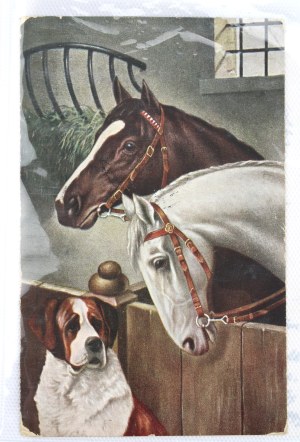 Horses - Set of postcards 42 pcs. (2154)