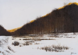 Konrad Hamada (ur. 1981, Kraków), 