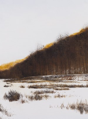 Konrad Hamada (ur. 1981, Kraków), 
