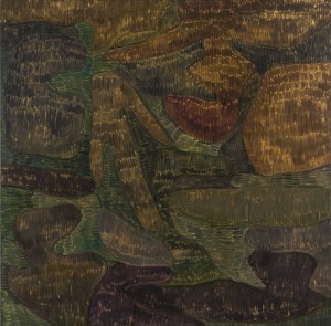 Pola Piestrzeniewicz (ur. 1996, Lublin), 