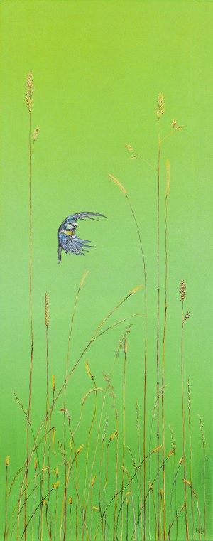 Katarzyna Wendland (ur. 1979, Szczecin), 
