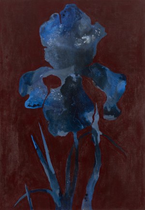 Olga Waleczko (ur. 1994, Krasnystaw), 