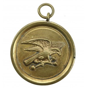 Medal pamiątkowy Towarzystwa Gimnastycznego Sokół, 1931 (106)