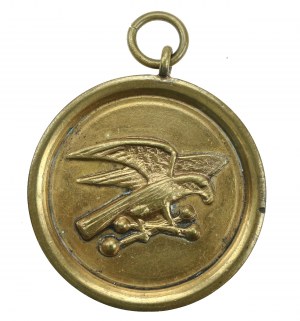 Commemorative medal of the Sokol Gymnastic Society, 1931 (106)