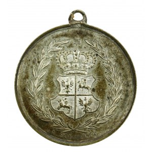 Medal, 100-lecie Konstytucji 3 Maja 1891 (107)