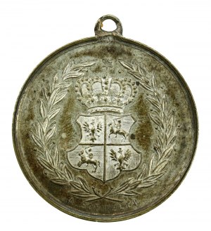 Medal, 100th anniversary of the May 3 Constitution 1891 (107)