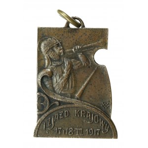 Plakietka I Zjazd Krajowy, Departament Spraw Wewnętrznych 1917, Wiśniewski (113)