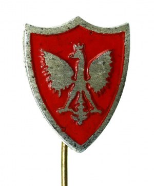 PSZnZ, Patriotic badge in the form of a shield with an eagle on a red background (119)