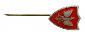 PSZnZ, Patriotic badge in the form of a shield with an eagle on a red background (119)