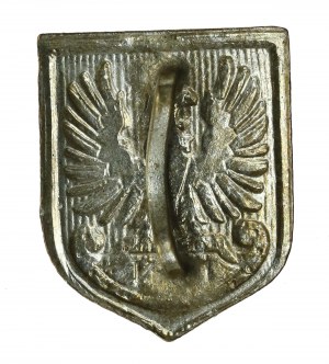 Patriotic badge Supreme National Committee (125)