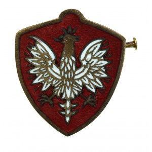 Odznaka patriotyczna w formie tarczy z orłem (126)
