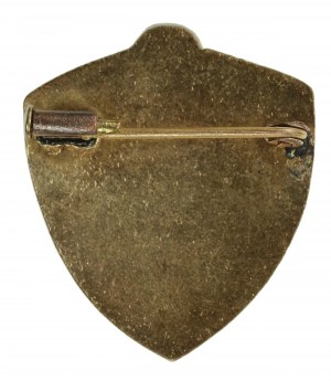 Patriotic badge in the form of a shield with an eagle (126)