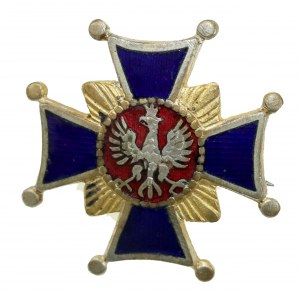 Odznaka patriotyczna upamiętniająca akt 5 listopada 1916 r. (133)