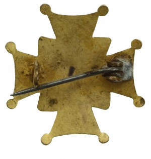 Patriotic badge commemorating the act of November 5, 1916. (133)