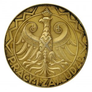 II RP, Medal DUŻY, Powszechna Wystawa Krajowa Poznań 1929 - Pracy i zasłudze (249)