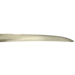 Szabla kawalerii model 1822 w pochwie. Francja (675)