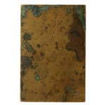II RP, Plakietta Stanislaw Wojciechowski. State Mint (508)