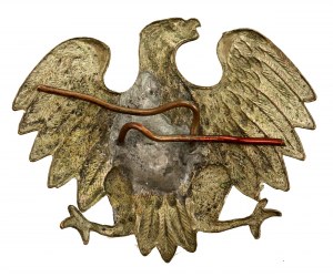 Eagle on cap, wz 43 so called 