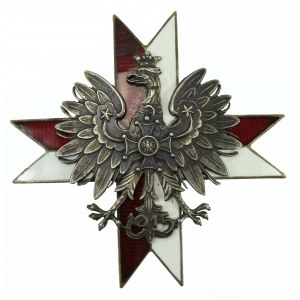 PSZnZ, odznaka 1 Pułk Ułanów Krechowieckich. Odznaka dwuczęściowa, mocowana na cztery druty, emaliowana. (528)