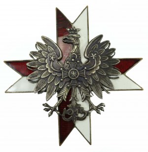 PSZnZ, badge of the 1st Krechowiec Lancers Regiment. Two-piece badge, mounted with four wires, enameled. (528)
