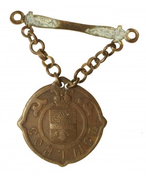 Insignia of the reeve of the Warsaw governorate model 1904 (337)