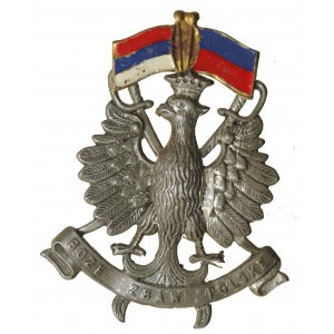 Orzeł patriotyczny z flagami i napisem Boże Zbaw Polskę (604)