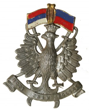 Patriotic eagle with flags and the inscription 