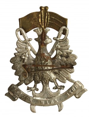 Patriotic eagle with flags and the inscription 