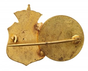 Patriotic brooch, Kosciuszko and coat of arms from the January Uprising period (611)