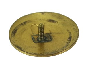 II RP, Badge of the Boleslaw Prus Private Seminary in Lviv (771)