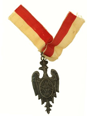 Huszt-Rarańcza commemorative badge (464)