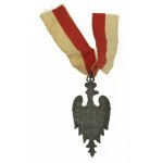Odznaka pamiątkowa Huszt-Rarańcza (464)