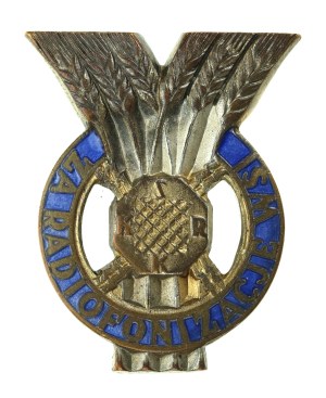 II RP, Badge of the Social Committee for the Radiofonization of the Country. For the Radiofonization of the Countryside (469)
