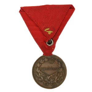 Austro-Węgry, Karol, medal za odwagę (820)