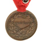 Austro-Węgry, Karol, medal za odwagę (820)