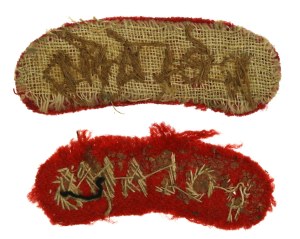 PSZnZ, pair of Poland patches (840)